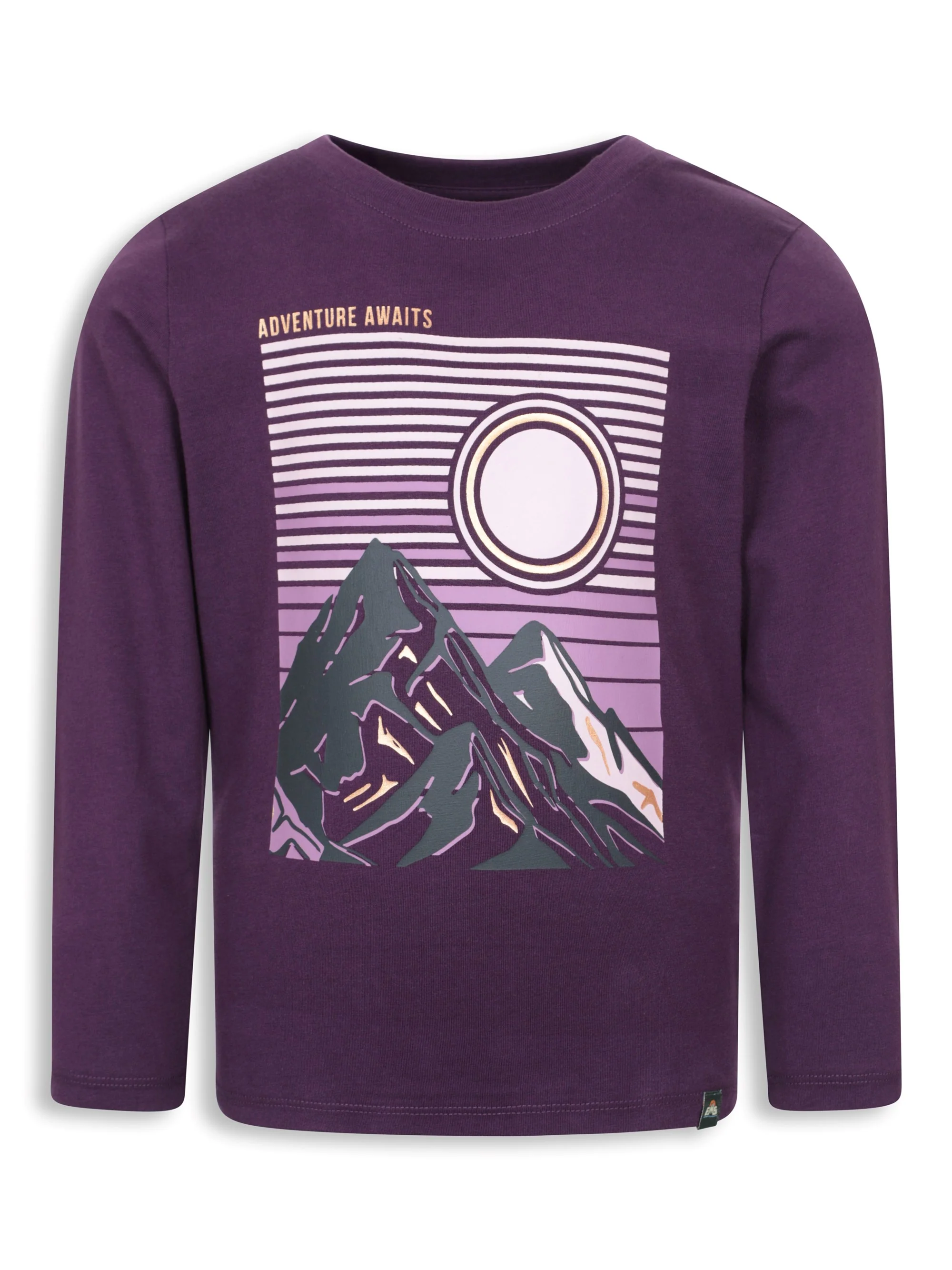 EMS Gold Foil Mountain Kids Printed Tee