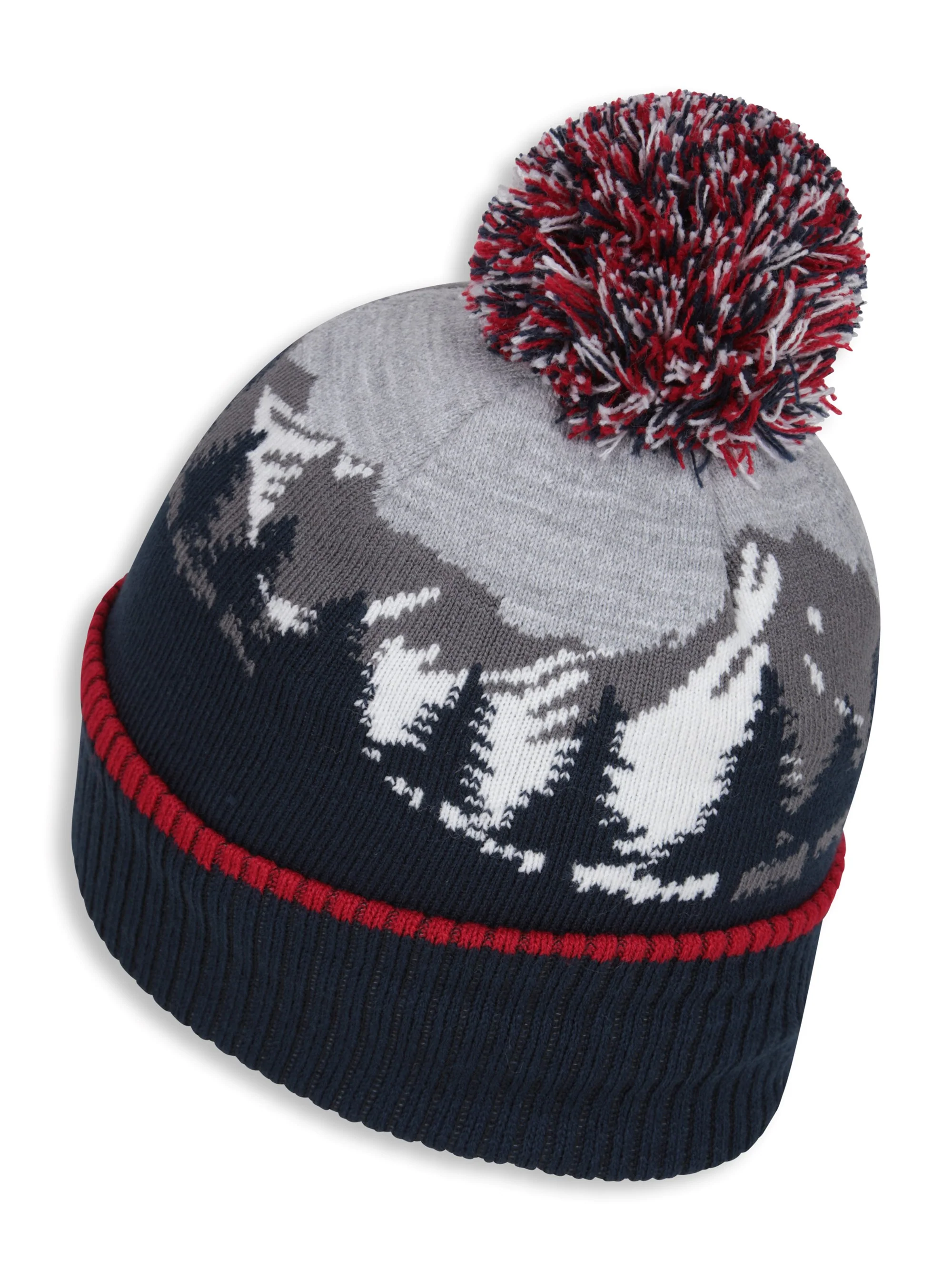 EMS Mens Sherpa Lined Pom Beanie - Image 5